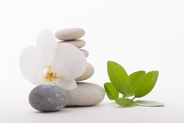 Still life featuring a white orchid flower, stacked smooth rocks, and vibrant green leaves. Composition conveys peace, balance and mindfulness.