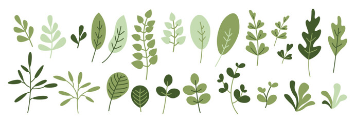 Greenery branches and leaves, modern decorative collection