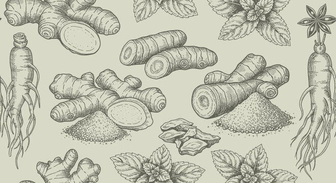 Hand-drawn seamless pattern of various natural herbs and spices including ginger, turmeric, ginseng, and mint leaves.