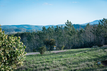 yellow disc golf basket on the course in portugal