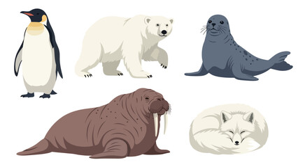 Modern vector illustration set of polar animals penguin, polar bear, seal, walrus, arctic fox, in various poses on white background, flat arctic wildlife collection with solid colors