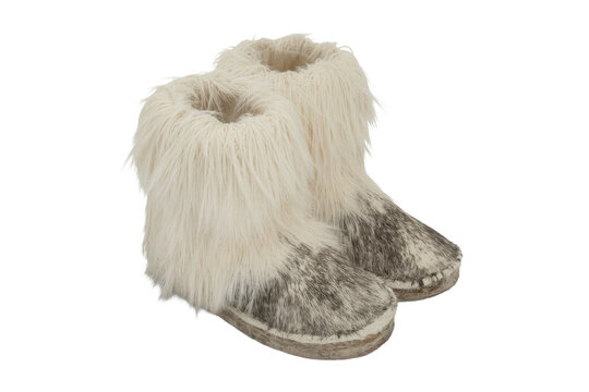 Fur Winter Boots Isolated