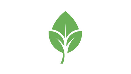 Green Leaf Illustration with Three Leaflets. © sakura