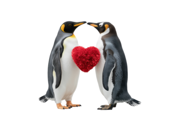 Penguins with Red Heart
