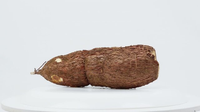 Freshly Harvested Cassava Root Rotating on White Background