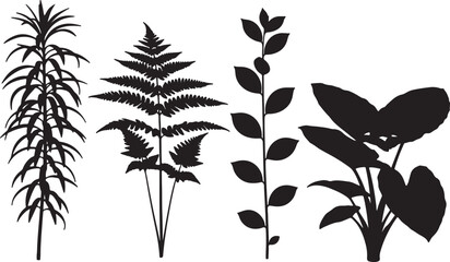 Silhouettes of various plants and ferns isolated on transparent background for design and illustration purposes © Pixel With MH