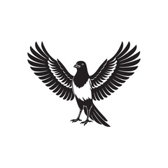 Fototapeta premium Black and white magpie bird with spread wings vector illustration