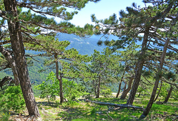 Kaz Mountains, located in Balikesir city of Turkey, is the most important mountain of the country with its rich vegetation and untouched nature.