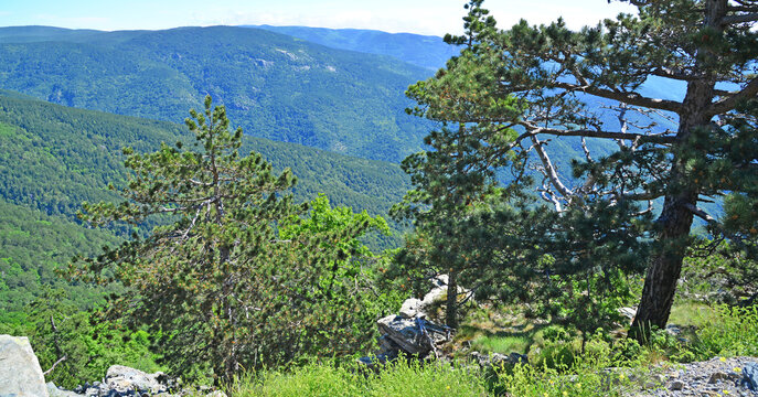 Kaz Mountains, located in Balikesir city of Turkey, is the most important mountain of the country with its rich vegetation and untouched nature.