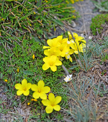Kaz Mountains, located in Balikesir city of Turkey, is the most important mountain of the country with its rich vegetation and untouched nature.