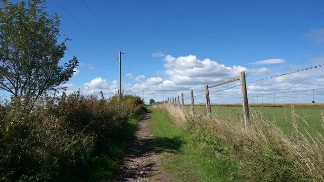 Medium shot of rural farmland with hedgerows and buffer zones acting as wildlife corridors facilitating connectivity between isolated natural habitats.