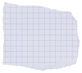 Piece of white ripped checkered diary page with black grid, isolated paper element with copy space