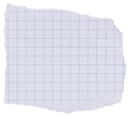 Piece of white ripped checkered diary page with black grid, isolated paper element with copy space