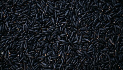 Dark Textures. An Abstract Field of Oblong Shapes, Rich Shadows and Subtle Highlights.