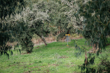disc golf green in portugal
