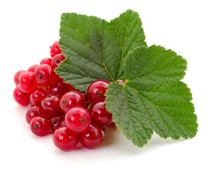 Red currant berries with green leaf isolated on white