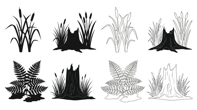 Black and white botanical illustration featuring reeds ferns and tree stumps