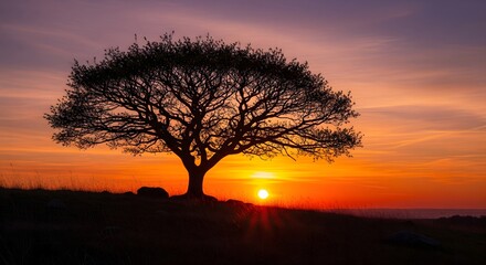 Dramatic Sunset Silhouetting a Majestic Lone Tree on the Horizon, Painting the Sky with Vibrant Hues of Orange and Yellow, Evoking a Sense of Peace and Natural Grandeur at Dusk