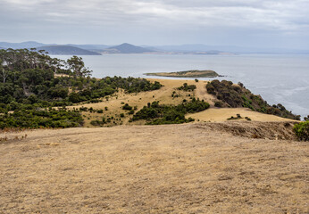 Moorland around fossil cliffs in Maria island, Tasmania