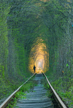 Spring morning in Tunnel of love - wonderful place created by nature. Sunrise over tunnel. A single figure moves forward on tunnel to the light. Klevan, Rivne region, Ukraine