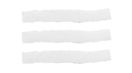 Fototapeta premium Three Blank Ripped White Paper Strips isolated PNG with Transparent Background
