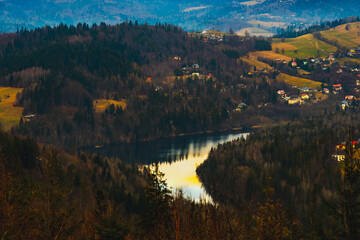 Elegant swans swimming on a calm lake, beautiful reflections on the water, and a harmonious natural atmosphere. A serene wildlife scene.