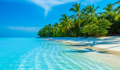 Tropical island beach landscape exotic shore coast. Tranquil closeup calm sea water waves with palm trees. Beautiful Panorama. Summer vacation, holiday amazing nature. Relax paradise, Maldives.