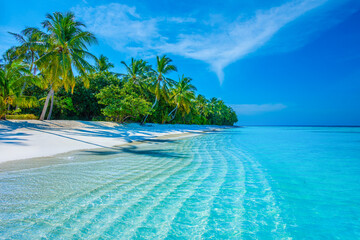 Tropical island beach landscape exotic shore coast. Tranquil closeup calm sea water waves with palm trees. Beautiful Panorama. Summer vacation, holiday amazing nature. Relax paradise, Maldives.