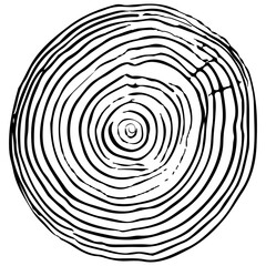 Fototapeta premium Wood rings elements.