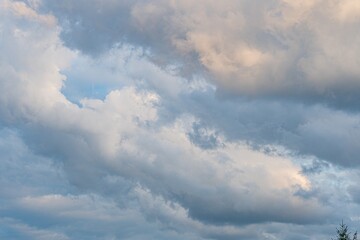Overcast sky with detailed, textured clouds in shades of gray, white, and blue Forest or garden edge hinted below Realistic style with artistic cloud detailing Balanced composition focusing on ope