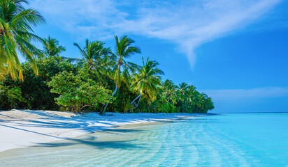 Tropical island beach landscape exotic shore coast. Tranquil closeup calm sea water waves with palm trees. Beautiful Panorama. Summer vacation, holiday amazing nature. Relax paradise, Maldives.