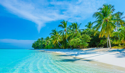 Tropical island beach landscape exotic shore coast. Tranquil closeup calm sea water waves with palm trees. Beautiful Panorama. Summer vacation, holiday amazing nature. Relax paradise, Maldives.