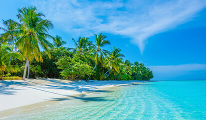 Tropical island beach landscape exotic shore coast. Tranquil closeup calm sea water waves with palm trees. Beautiful Panorama. Summer vacation, holiday amazing nature. Relax paradise, Maldives.