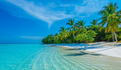 Tropical island beach landscape exotic shore coast. Tranquil closeup calm sea water waves with palm trees. Beautiful Panorama. Summer vacation, holiday amazing nature. Relax paradise, Maldives.