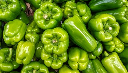 Fresh, vibrant green bell peppers displayed en masse