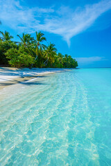 Tropical island beach landscape exotic shore coast. Tranquil closeup calm sea water waves with palm trees. Beautiful Panorama. Summer vacation, holiday amazing nature. Relax paradise, Maldives.