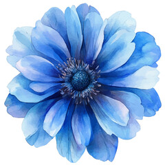 Obraz premium Knautia Flower, clipart watercolor vector with vivid accents and harmonious tones, isolated on a white background.