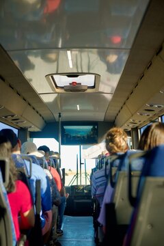 Passenger in the Hobbiton Bus
