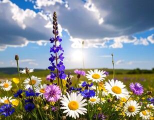 A vibrant meadow explodes with a rainbow of wildflowers. Blue skies and fluffy white clouds complete the sunny scene