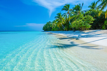 Tropical island beach landscape exotic shore coast. Tranquil closeup calm sea water waves with palm trees. Beautiful Panorama. Summer vacation, holiday amazing nature. Relax paradise, Maldives.