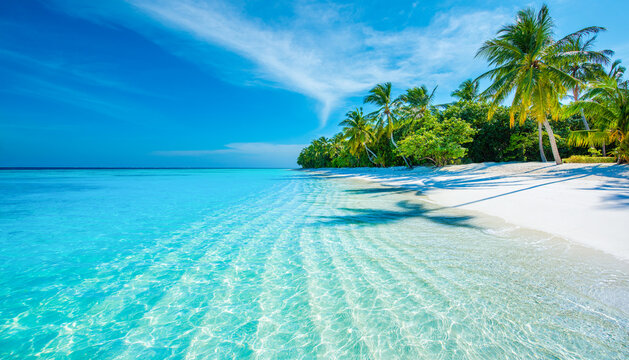Tropical island beach landscape exotic shore coast. Tranquil closeup calm sea water waves with palm trees. Beautiful Panorama. Summer vacation, holiday amazing nature. Relax paradise, Maldives. - Powered by Adobe