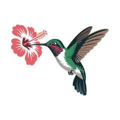 Obraz premium Colorful Hummingbird with Hibiscus Flower – Tropical Nature Wildlife, Elegant Bird Illustration, Editable Vector Art