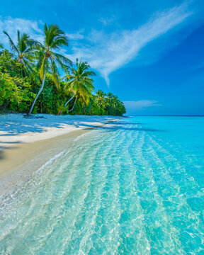 Tropical island beach landscape exotic shore coast. Tranquil closeup calm sea water waves with palm trees. Beautiful Panorama. Summer vacation, holiday amazing nature. Relax paradise, Maldives.