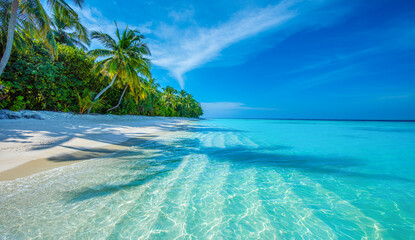 Fototapeta premium Tropical island beach landscape exotic shore coast. Tranquil closeup calm sea water waves with palm trees. Beautiful Panorama. Summer vacation, holiday amazing nature. Relax paradise, Maldives.