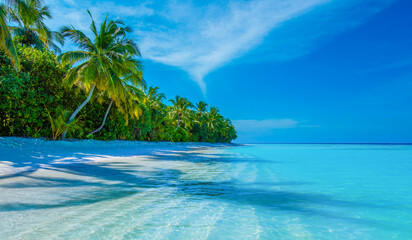 Tropical island beach landscape exotic shore coast. Tranquil closeup calm sea water waves with palm trees. Beautiful Panorama. Summer vacation, holiday amazing nature. Relax paradise, Maldives.
