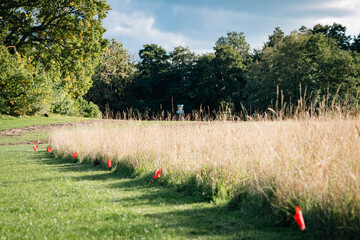disc golf basket behind a meadow