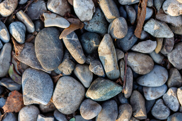 River rock texture with smooth grey pebbles and leaves