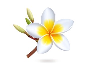 A vibrant, photorealistic rendering features a white and yellow tropical flower with unopened buds and a brown stem, set against white