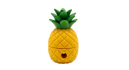 Ceramic Pineapple Container with Coin Slot.
