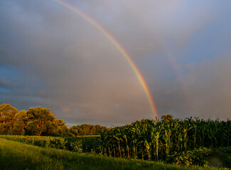 The rainbow is a beautiful natural phenomenon.